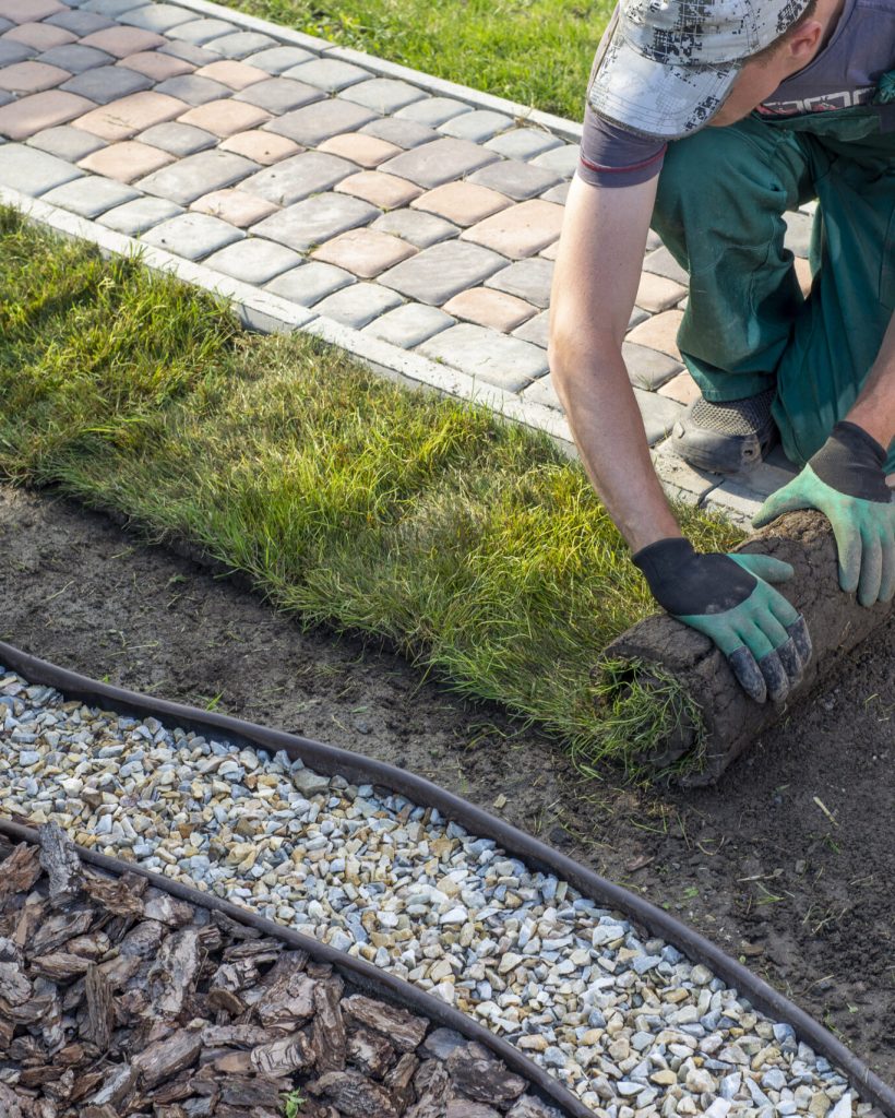 Landscape Gardener Laying Turf For New Lawn